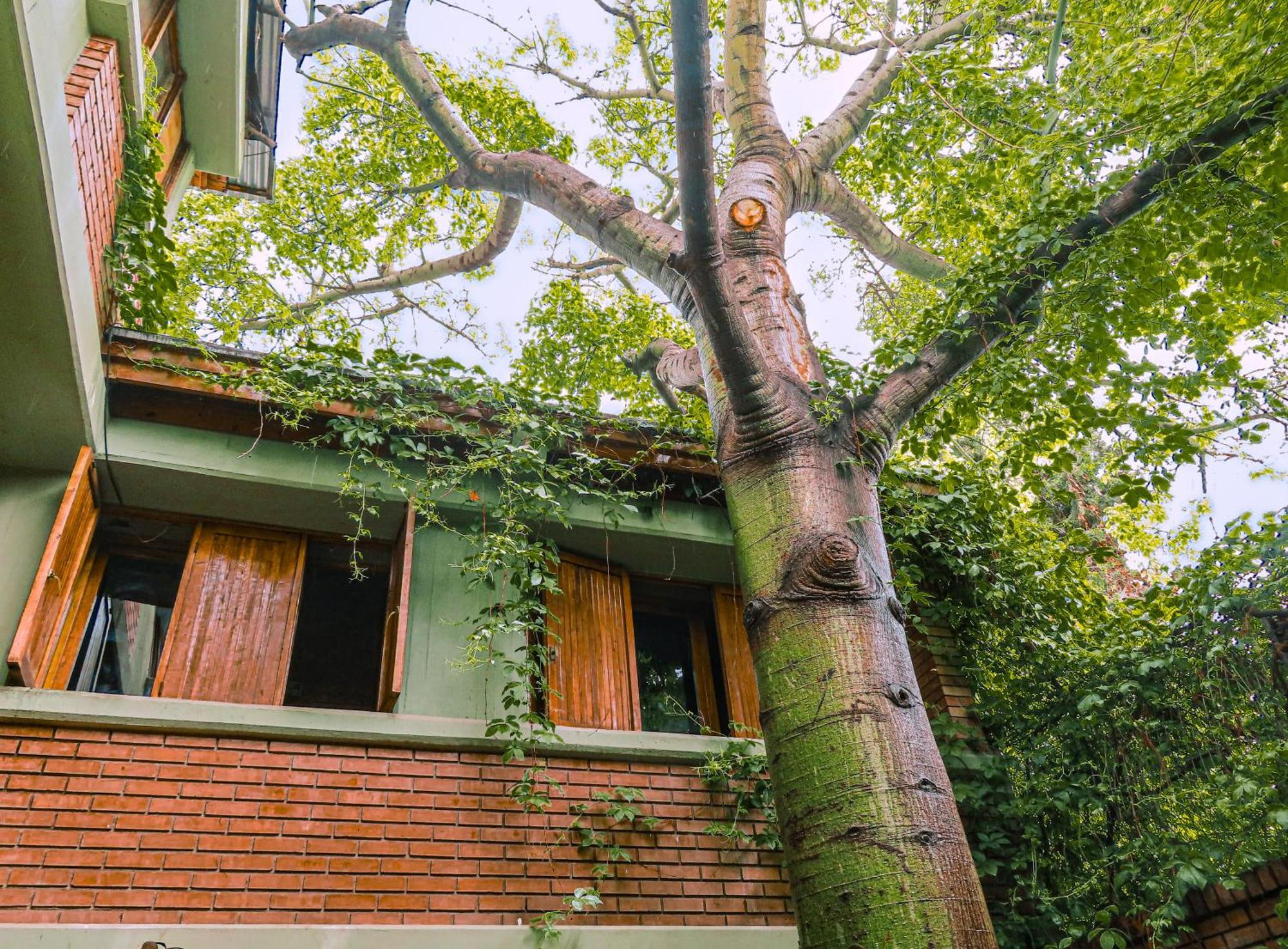 Casa Olascoaga